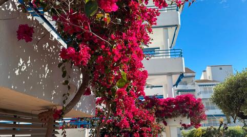 Foto 4 de Apartament en venda a Alcossebre, Alcalà de Xivert