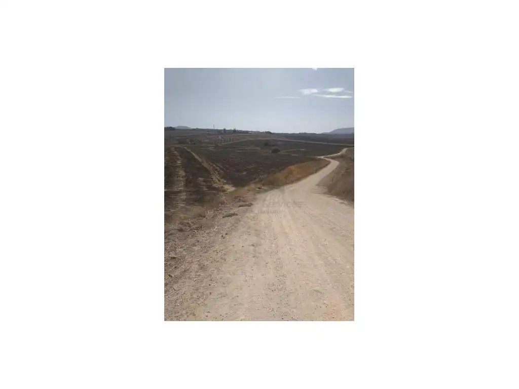 Terreny residencial en venda a Arriate, imagen 5
