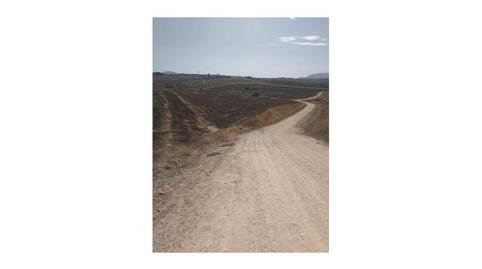 Finca para cultivo, Agua y Luz  Arriate, immagine 5