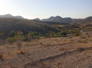 Rustikales Grundstück zum Verkauf in Pedanías Centro