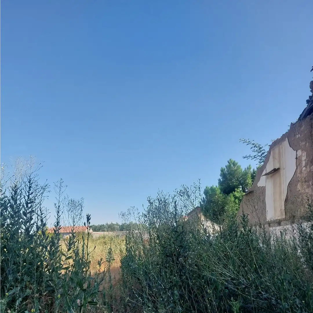 Terreni e lotti in vendita a Soto de la Vega, imagen 4