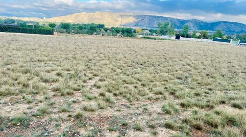 UNA GRAN PARCELA RÚTICA A UN PASO DE VILLENA, imatge 3