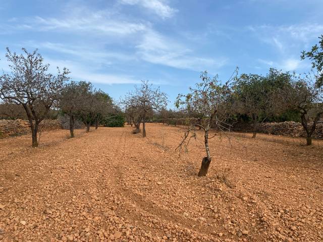 Terreno en Venta en Carrer Camí de Montferri en Rodonyà