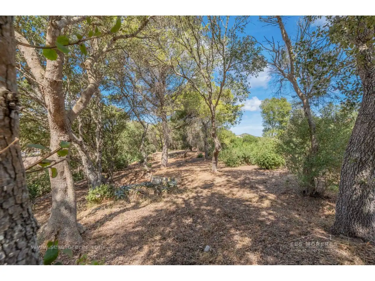 Rural land for sale in Ferreries poble, imagen 23