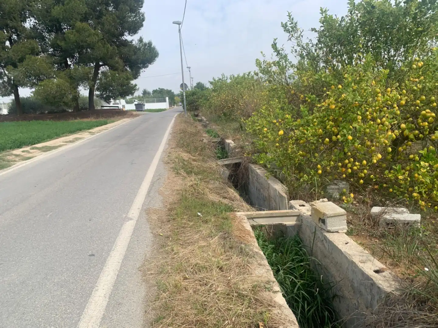 Terrenys i solars en venda a Pedanías Este, imagen 3