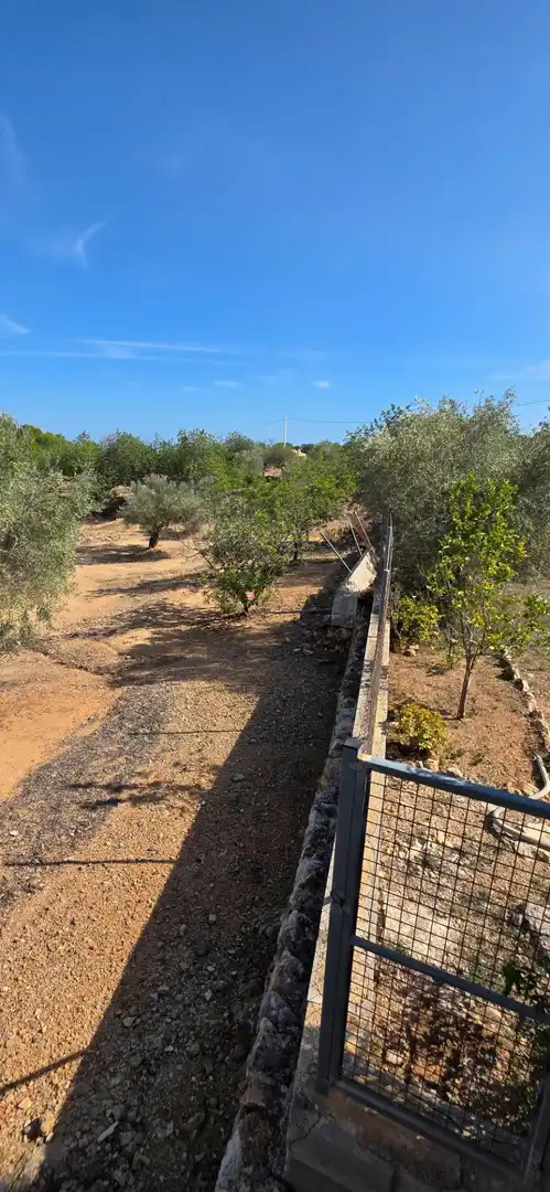 Finca rústica en venda en El Perelló amb Jardí privat, Terrassa i Traster