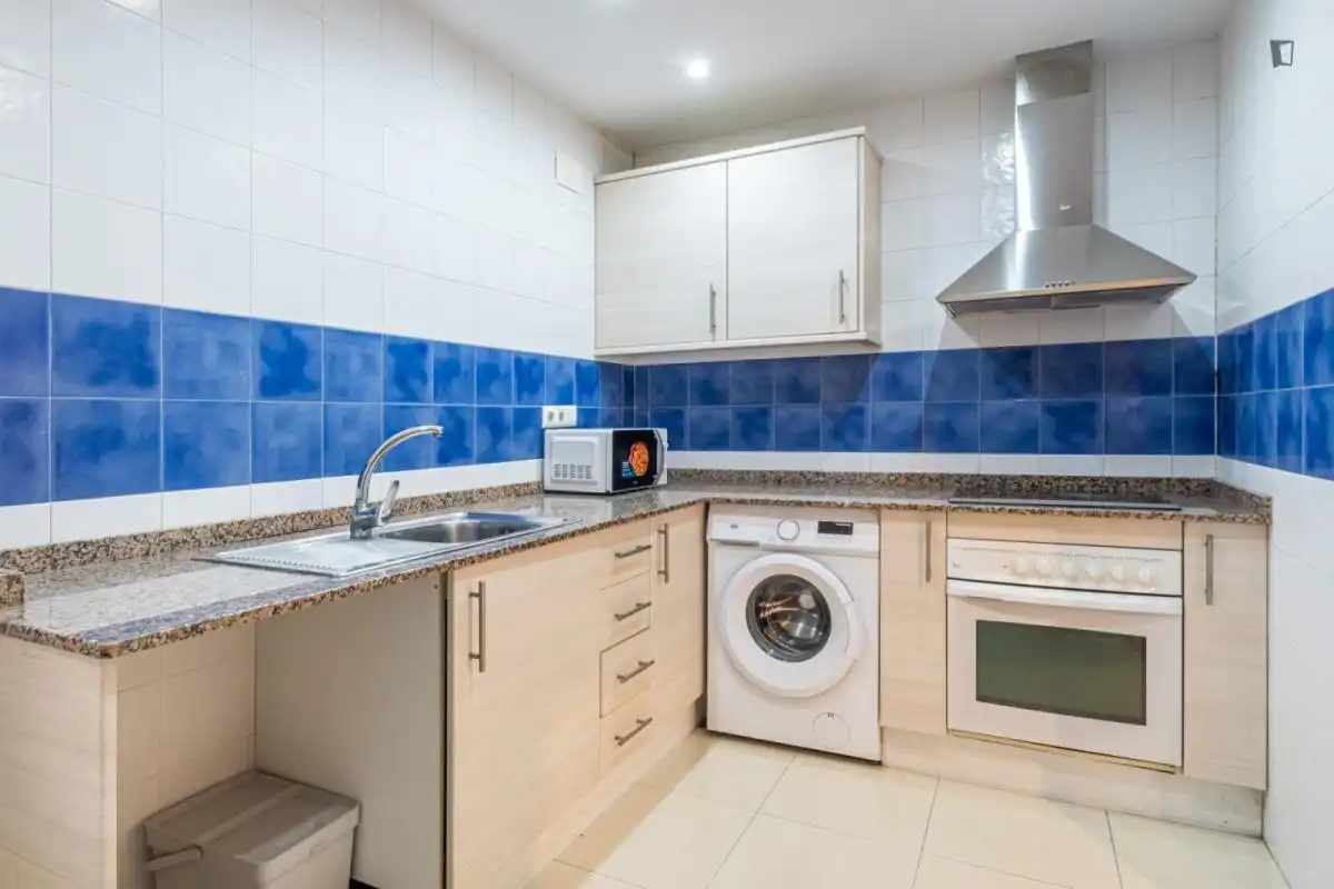 Cuina de Apartament per a compartir en Alicante / Alacant amb Moblat, Forn i Rentadora