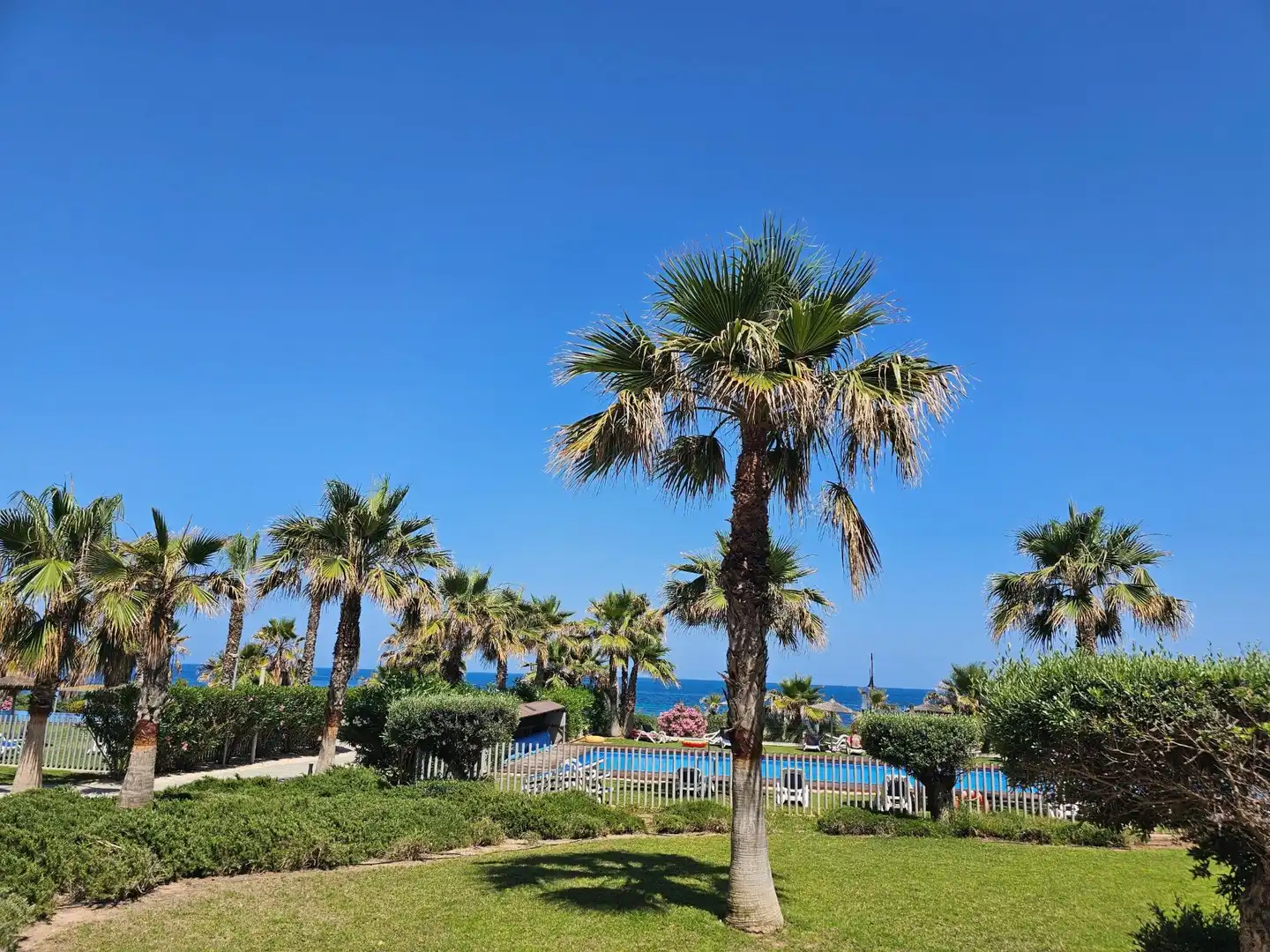 Jardí de Àtic en venda en Torrevieja amb Aire condicionat, Calefacció i Jardí privat