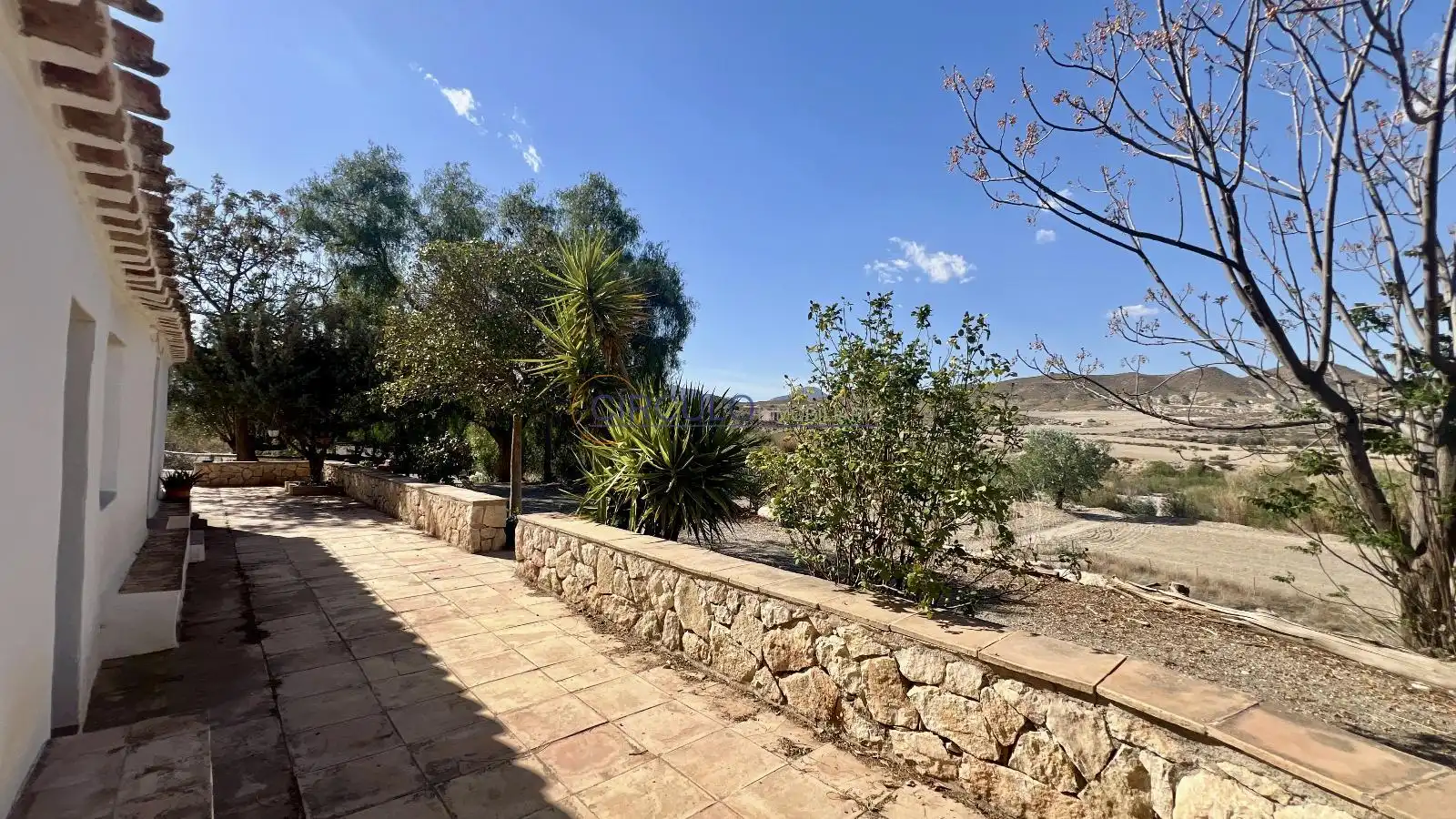 Jardín de Casa o chalet en venta en Lorca con Trastero y Piscina