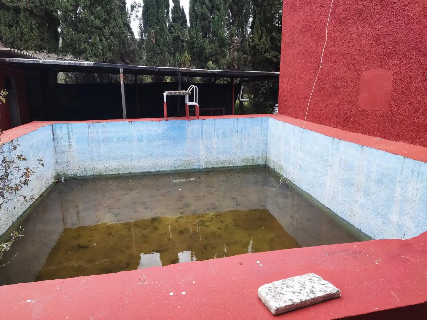 Piscina de Finca rústica en venta en Alzira con Terraza y Piscina