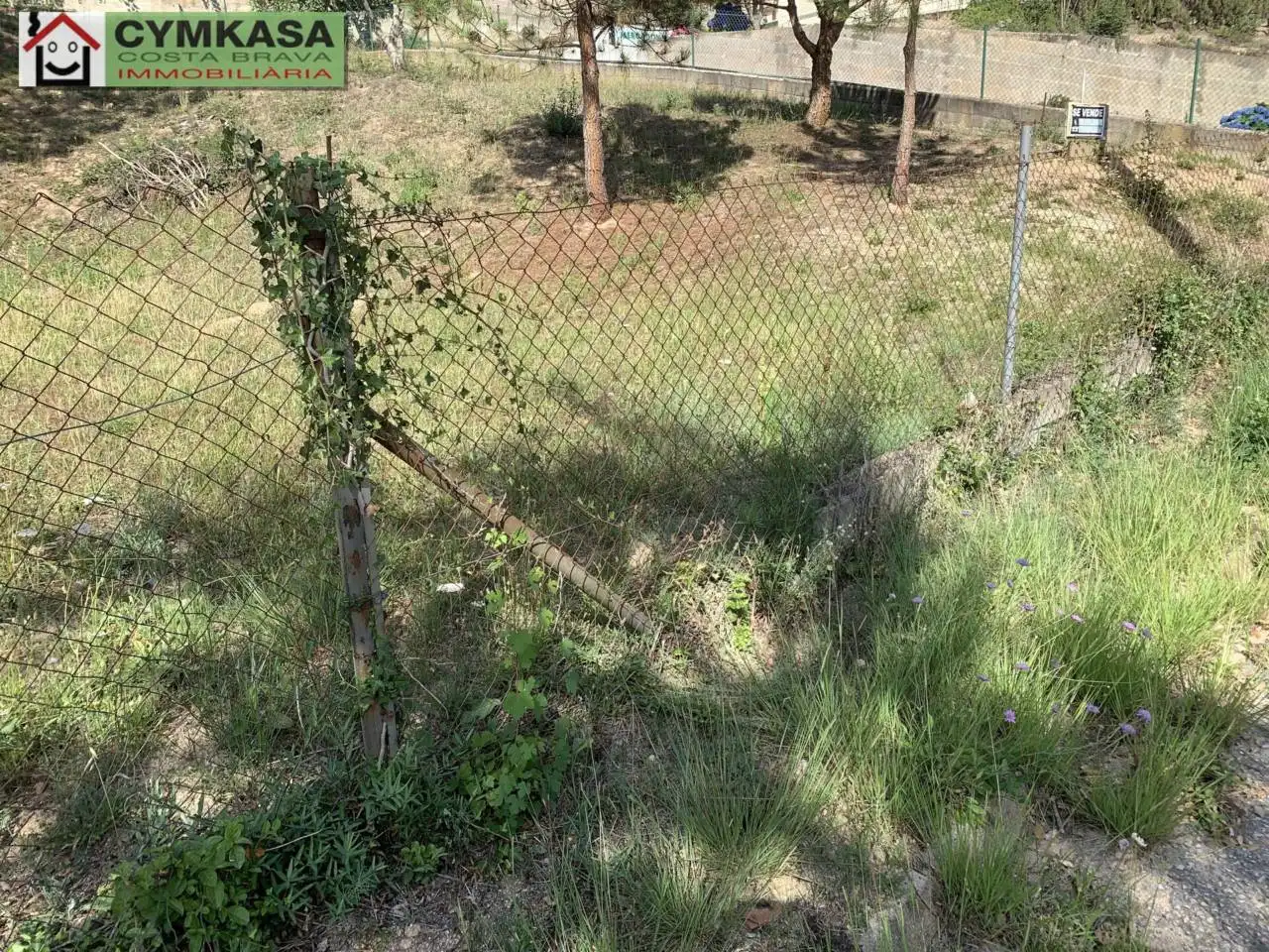 Terreno rustico in vendita a Montbarbat, imagen 6