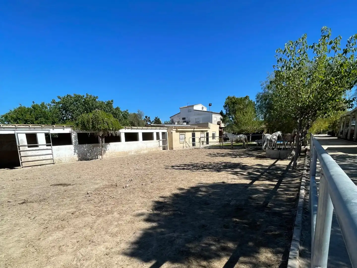 Maison rustique avec piscine à vendre à Desamparados - Hurchillo - Torremendo, imagen 6