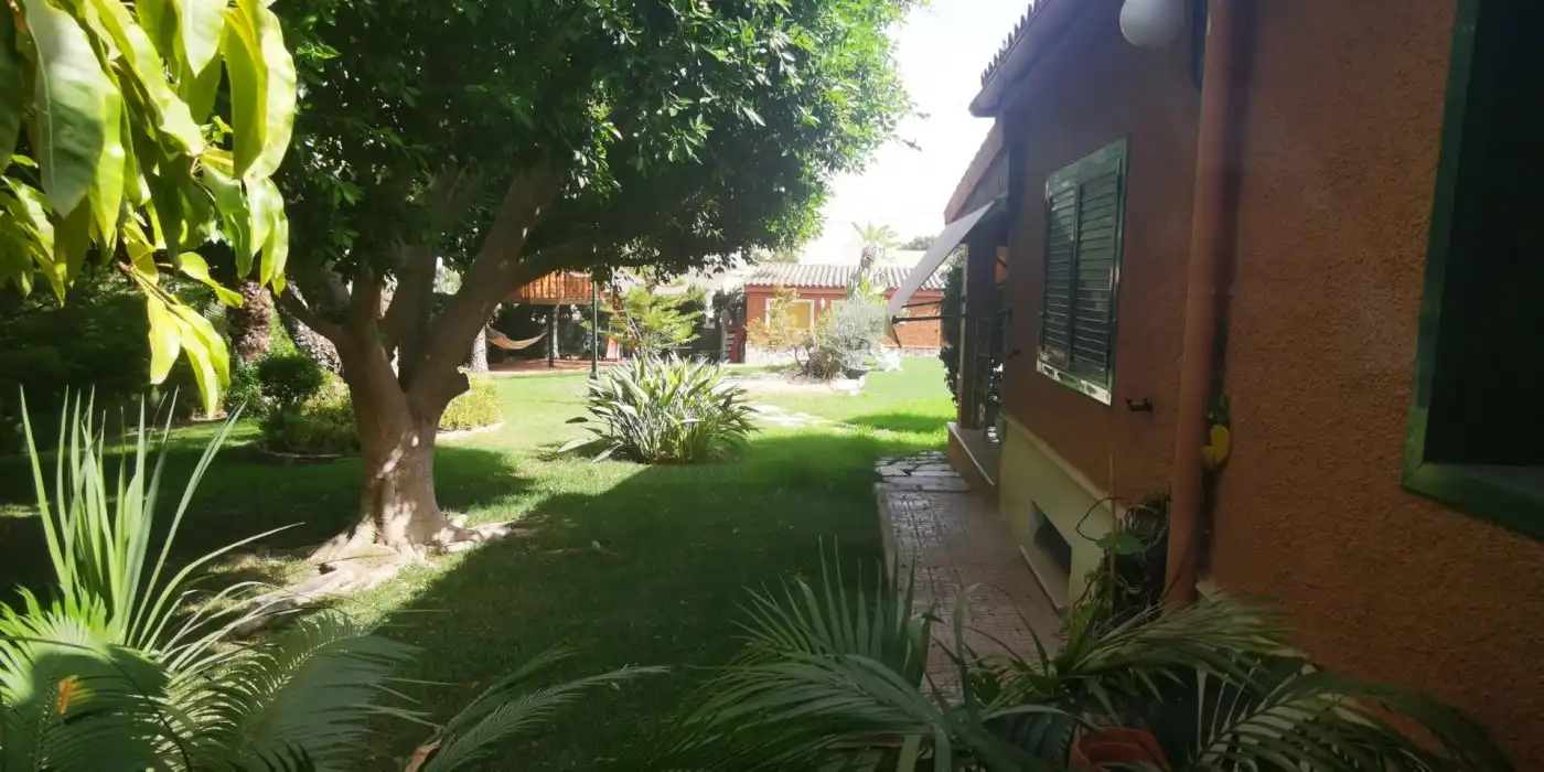 Jardí de Casa o xalet en venda en Elche / Elx amb Aire condicionat, Jardí privat i Terrassa