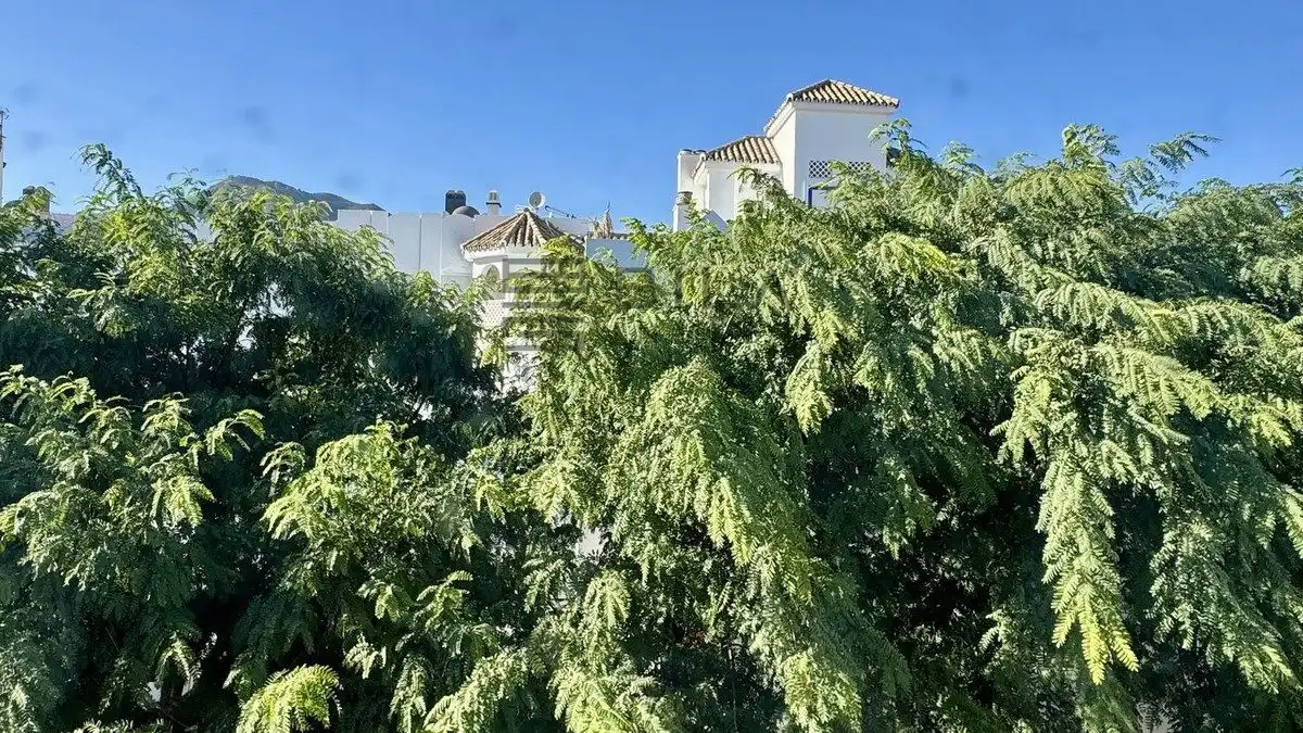 Ático con ascensor en venta en Paseo del Generalife, imagen 49