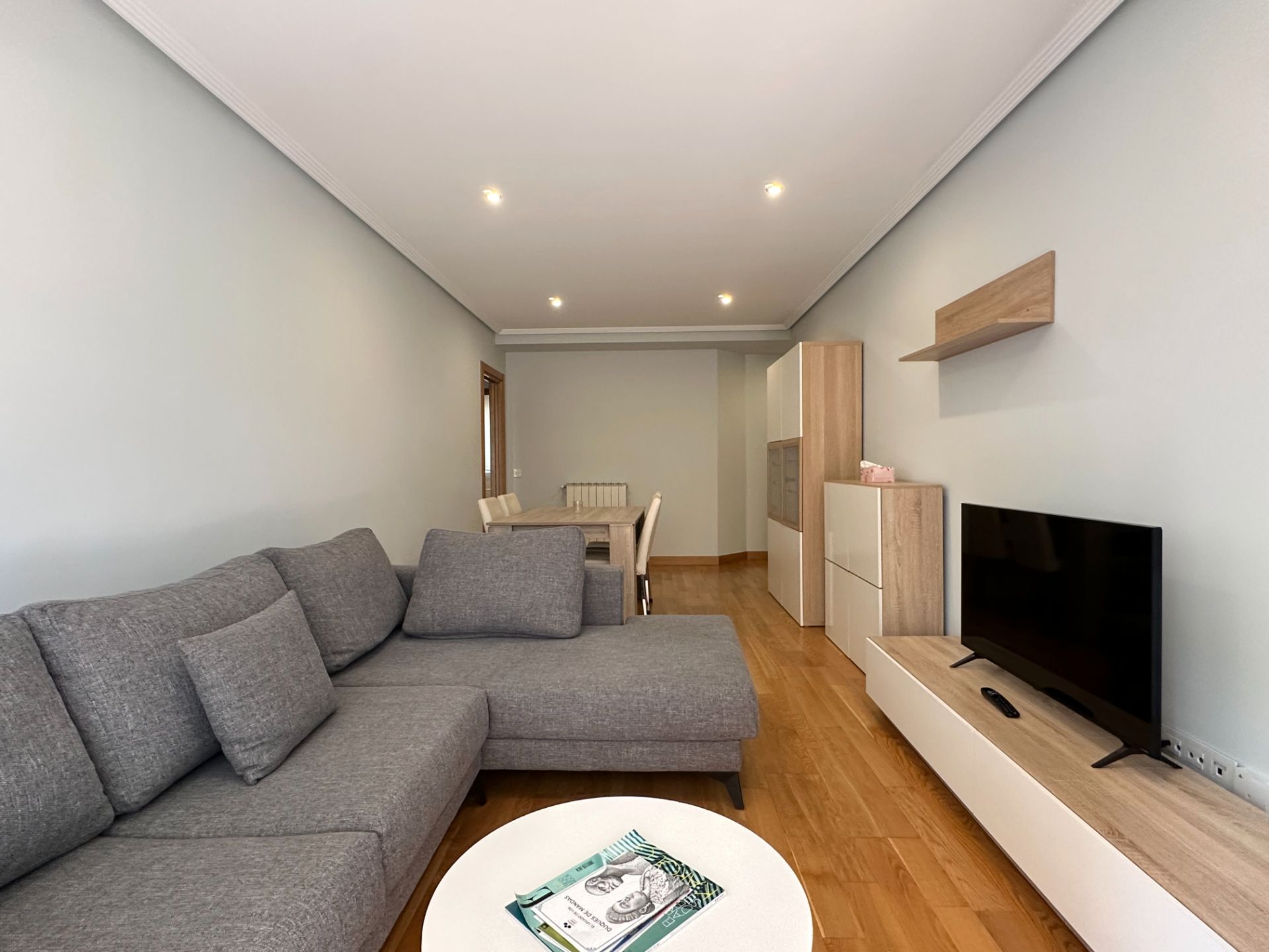 Living room of Flat to rent in Donostia - San Sebastián   with Heating, Terrace and Storage room