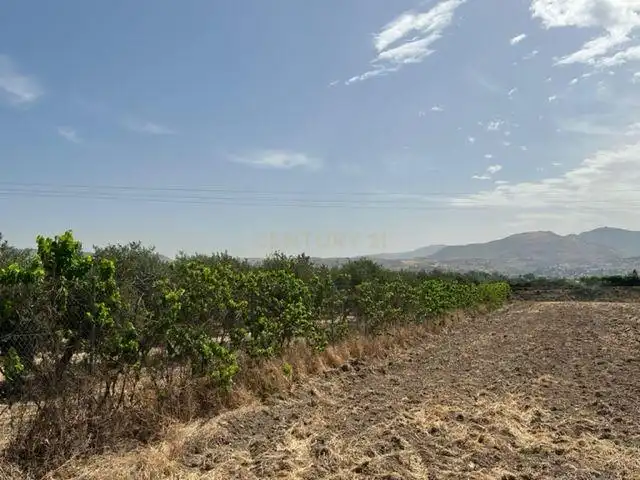 Terreno rustico in vendita a JUEVES POR LA MAQANA POLIGONO 3, imagen 5