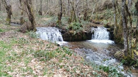 Photo 5 of Country homes for sale in Becerreá, Lugo