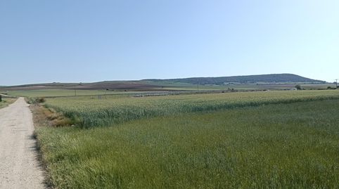 Photo 3 of Land for sale in Ibeas de Juarros, Ibeas de Juarros, Burgos
