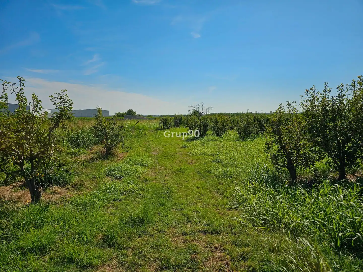 Nave industrial en venta en Oria