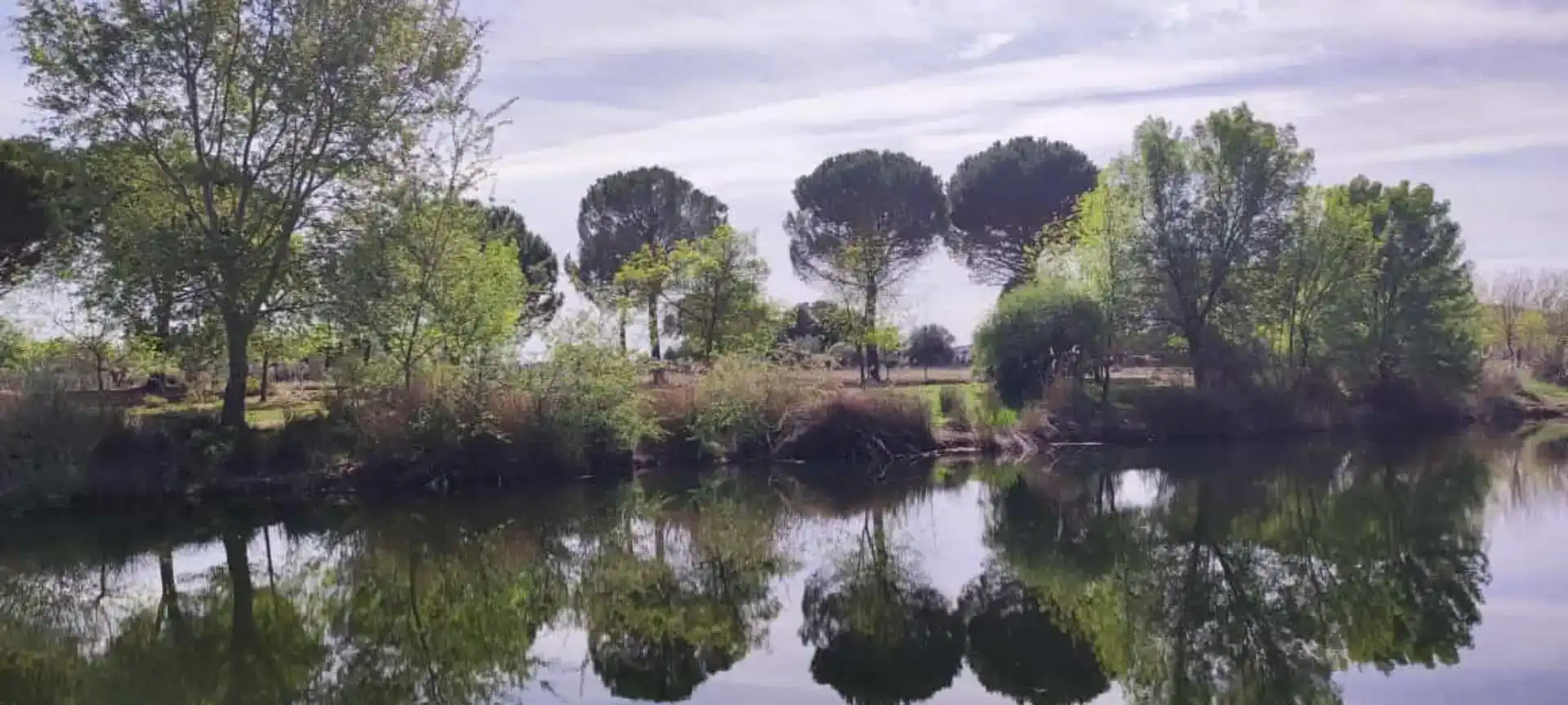Garten von Grundstücke zur Miete in Piedrabuena