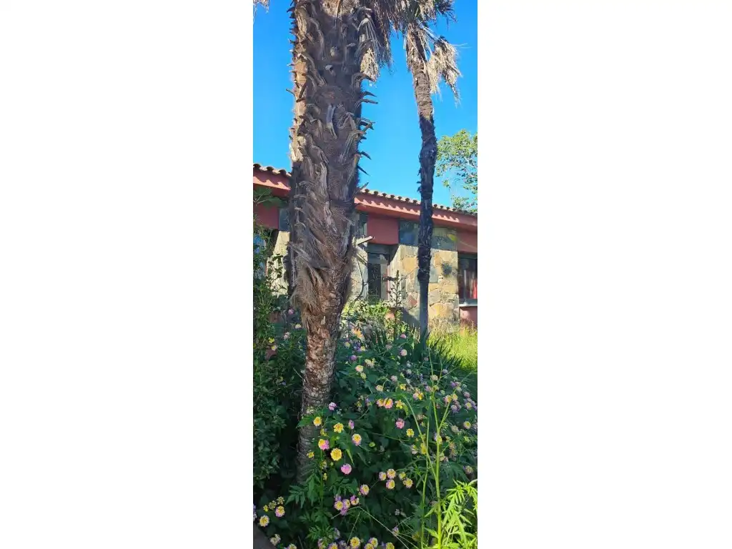 Villa avec jardin à vendre à Vilallonga del Camp, imagen 11