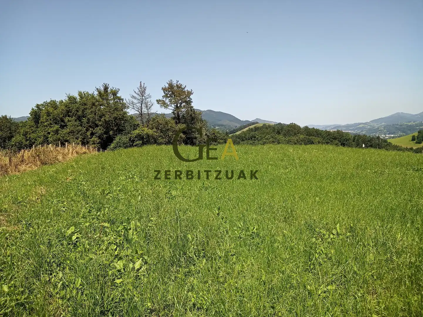 Land for sale in Asteasu