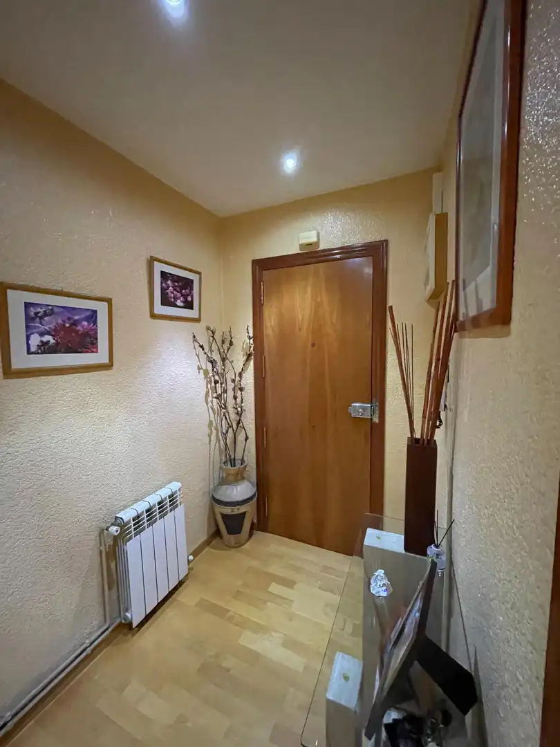 Ático con terraza en venta en La Plana, imagen 14