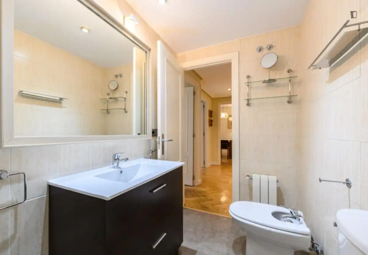 Bathroom of Apartments for rent in Madrid  with Air Conditioner, Heating and Furnished