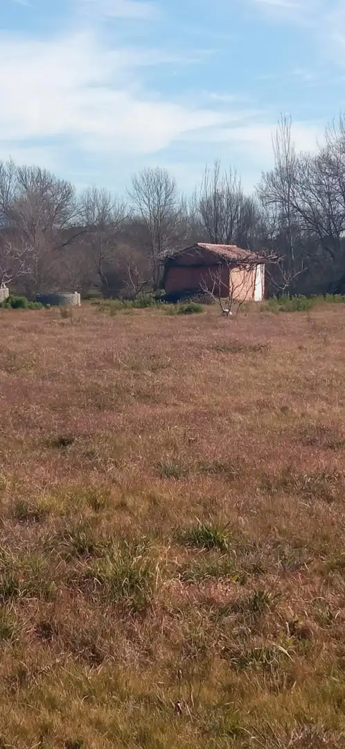 Terreno rustico in vendita a Candeleda, imagen 6