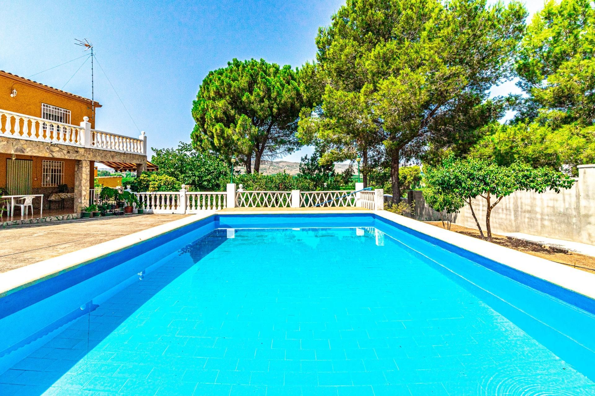Piscina de Casa o xalet en venda en Alberic amb Aire condicionat, Jardí privat i Terrassa