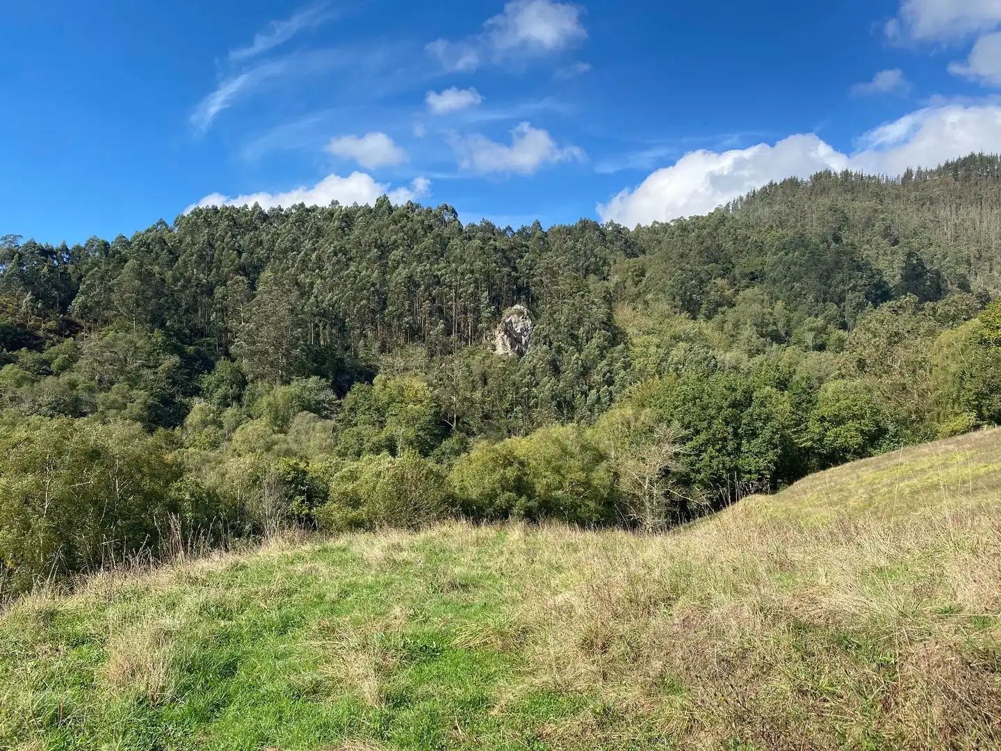 Maison avec jardin à vendre à Tresmonte, imagen 10