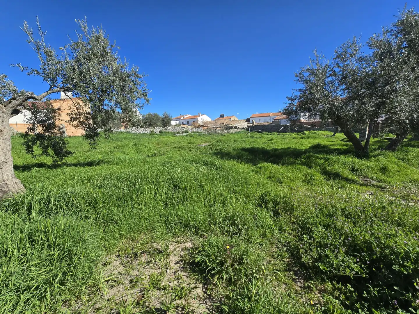 Wohnbaugrundstück zum Verkauf in Calle Herradores, imagen 2
