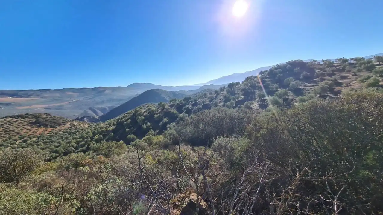 Terreny rústic en venda a CORTIJO DE MORA Y MARAÑON, imagen 2