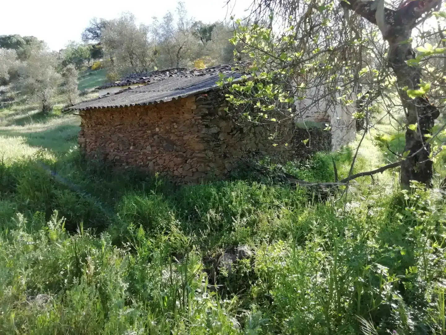 Terreno en venta en Cumbres Mayores, Huelva