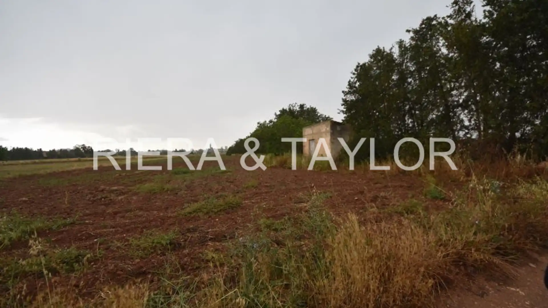 Finca rústica en venta en Manacor