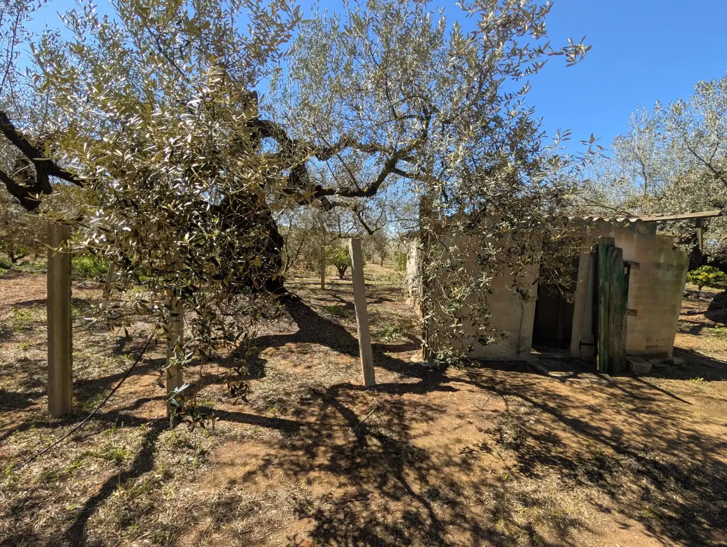 Grundstücke zum Verkauf in Ulldecona