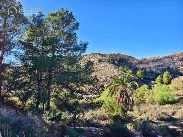 Casa-chalet en Venta en TAHULLA en Crevillent