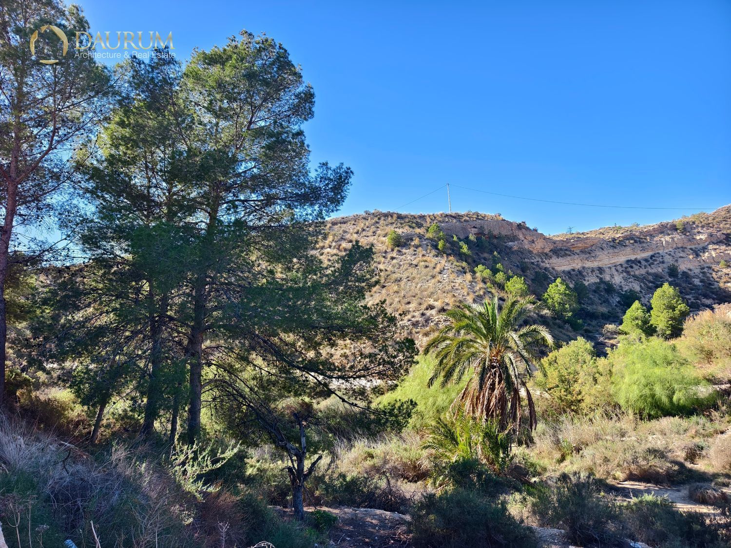 Vista exterior de Casa o chalet en venta en Crevillent con Aire acondicionado, Terraza y Trastero