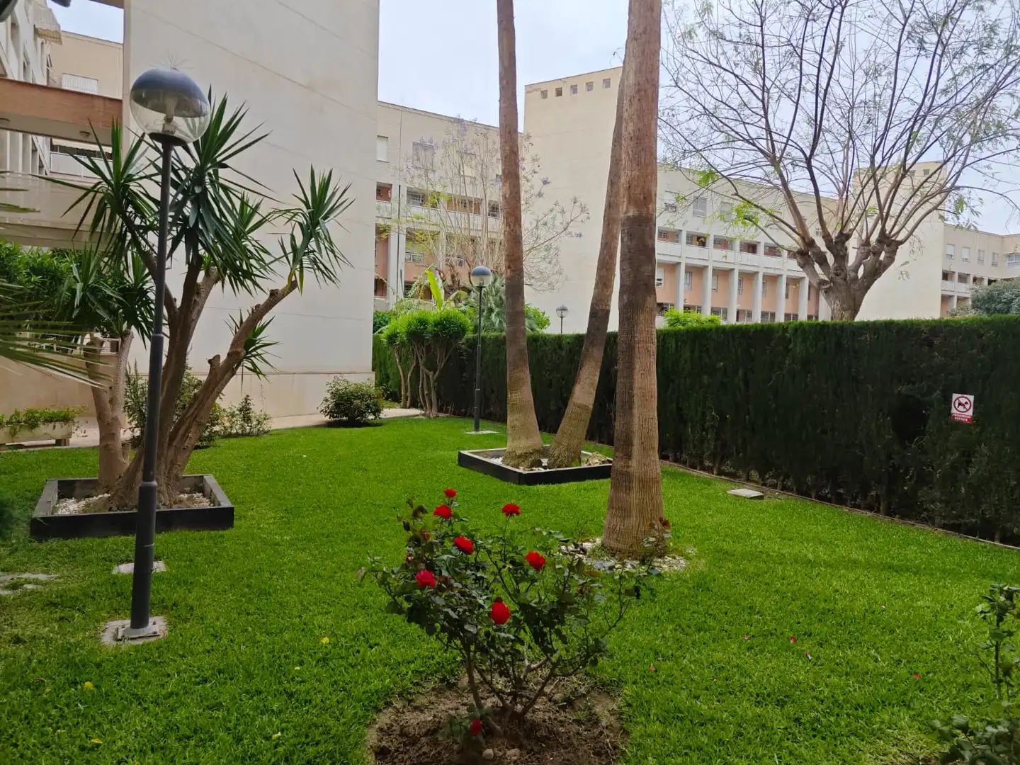Jardí de Dúplex en venda en Alicante / Alacant amb Aire condicionat, Terrassa i Traster