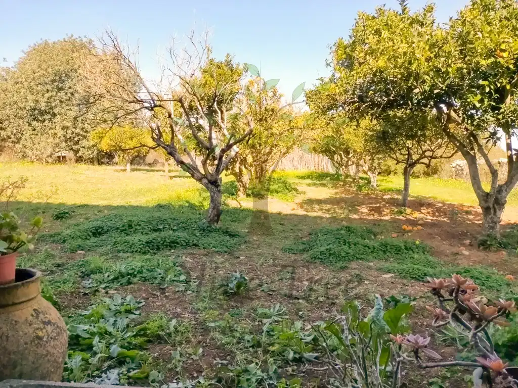 Casa o chalet en venta en Felanitx