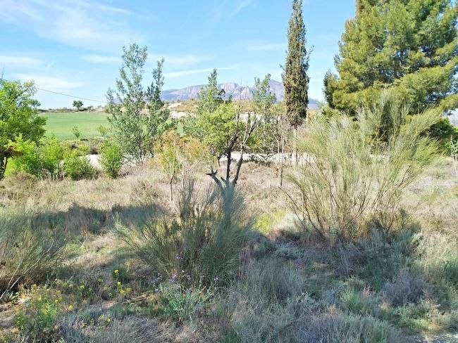 Casa o xalet en venda en Benamaurel amb Jardí privat