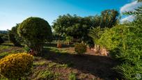 Jardí de Casa o xalet en venda en Navarcles amb Aire condicionat, Terrassa i Piscina