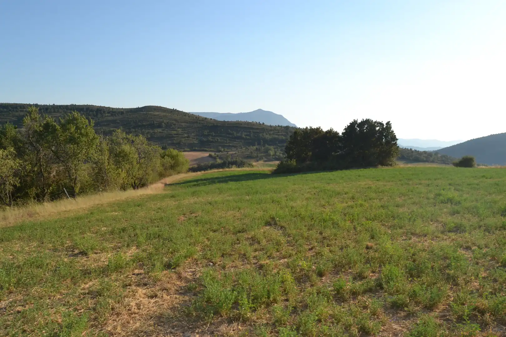 Terreni e lotti in vendita a Jasa, imagen 4