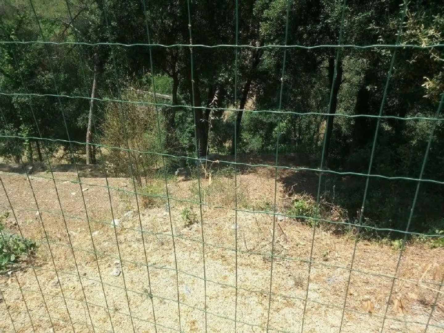 Terrenys i solars en venda a Can Massuet del Far, imagen 8