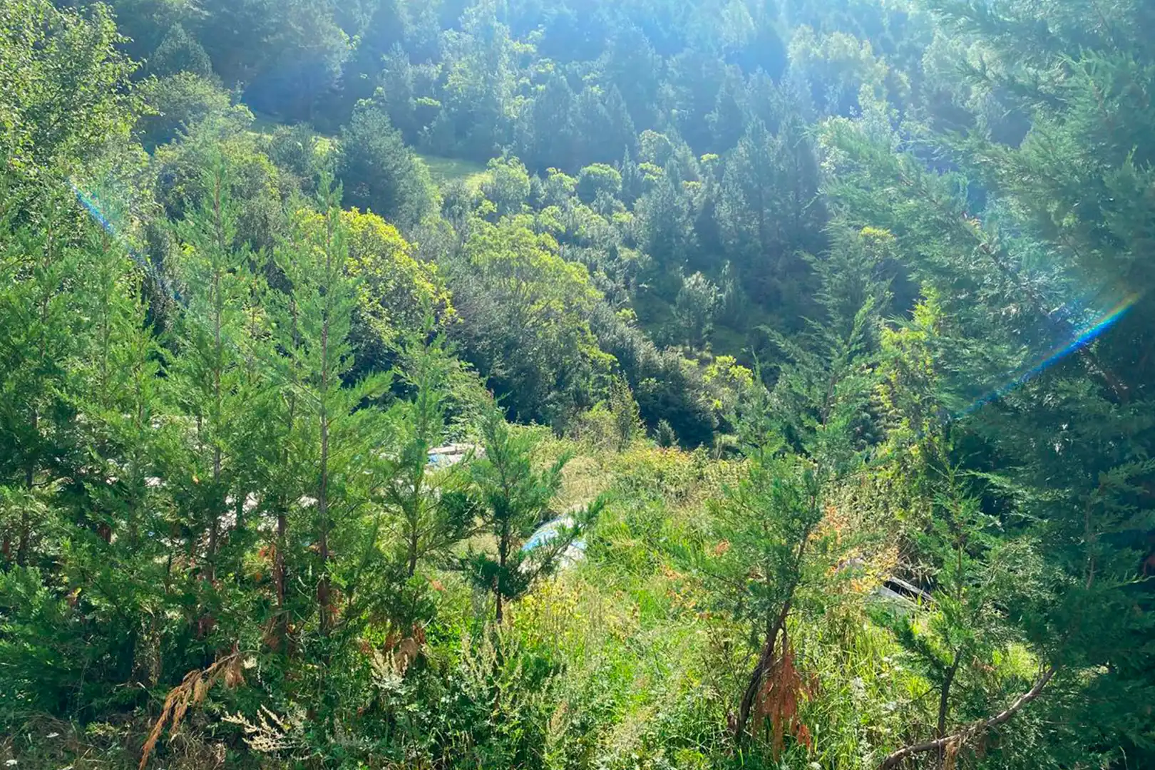 Terreno en venta en Ordino