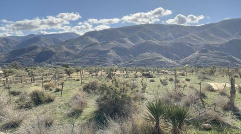 Exclusiva Finca Rústica en Padules Almería, immagine 4