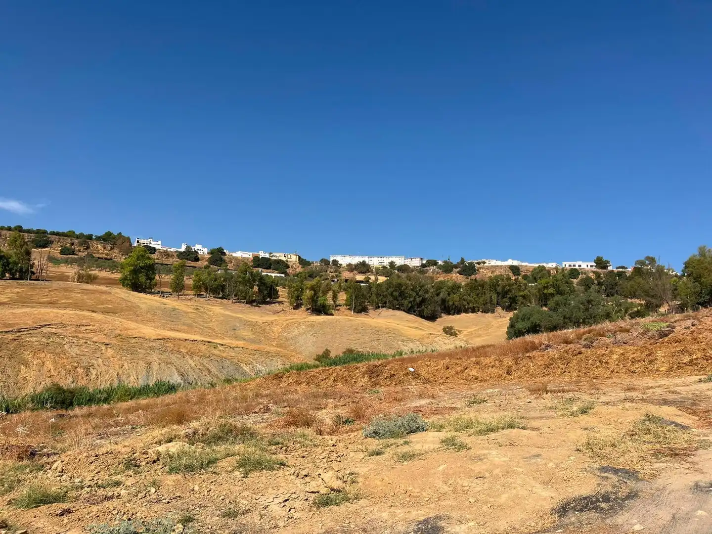 Rural land for sale in Carmona, imagen 7