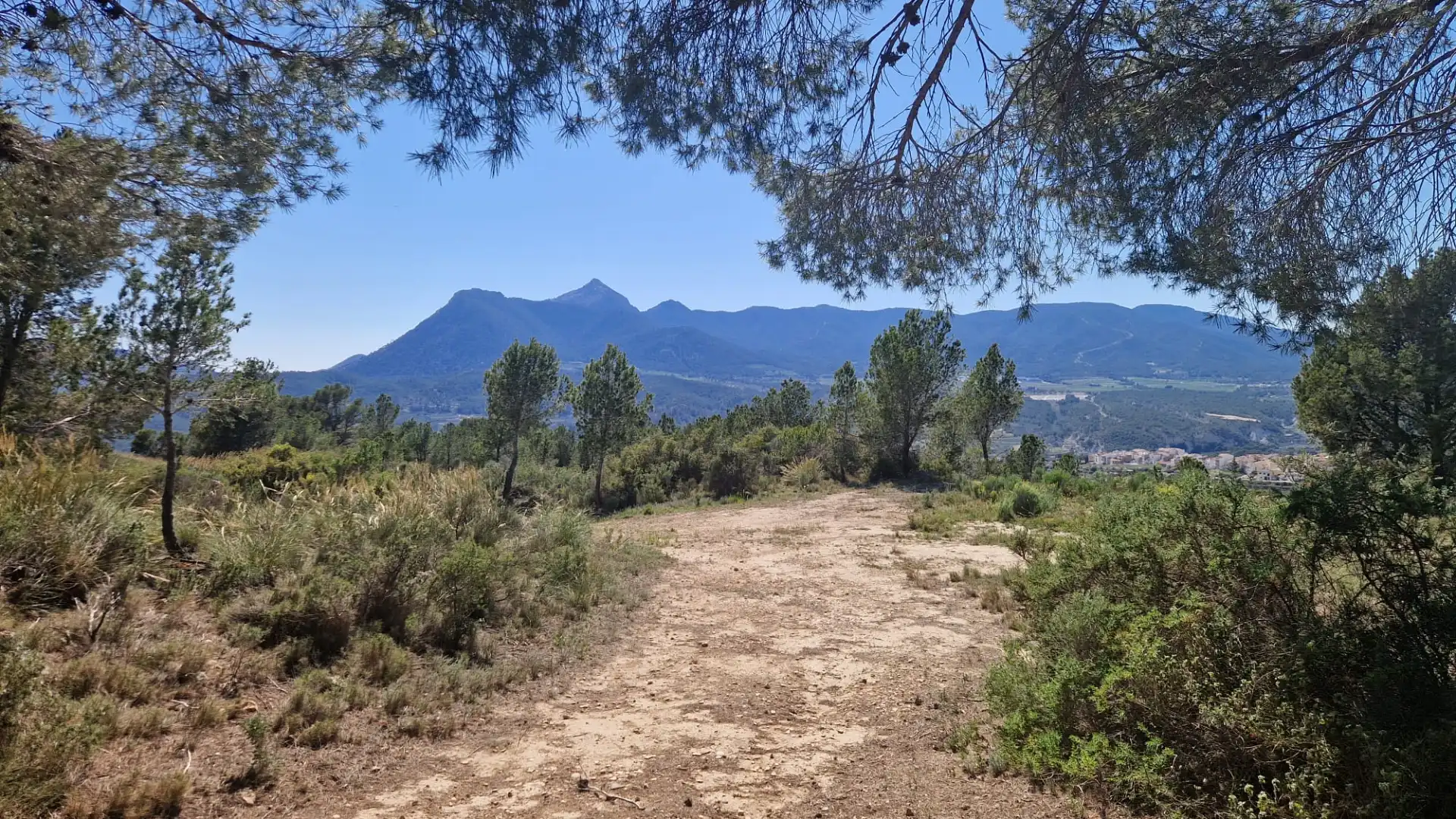 Terreno rustico in vendita a Lugar Castillo, imagen 15