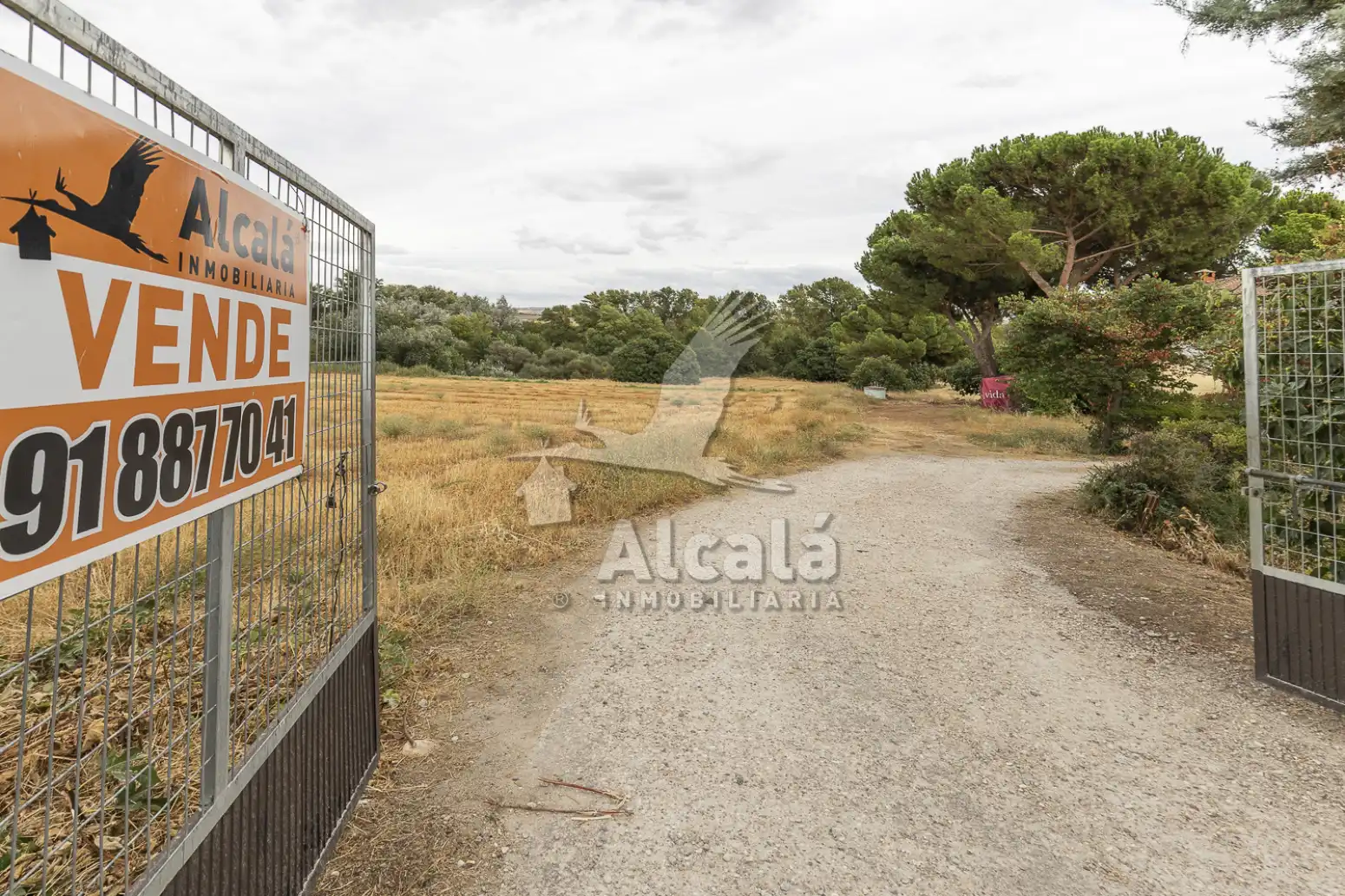 Haus oder Chalet zum Verkauf in El Molar (Madrid) mit Schwimmbad