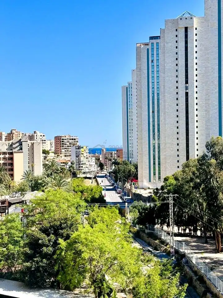 Vista exterior de Pis en venda en Benidorm amb Terrassa, Moblat i Piscina comunitària